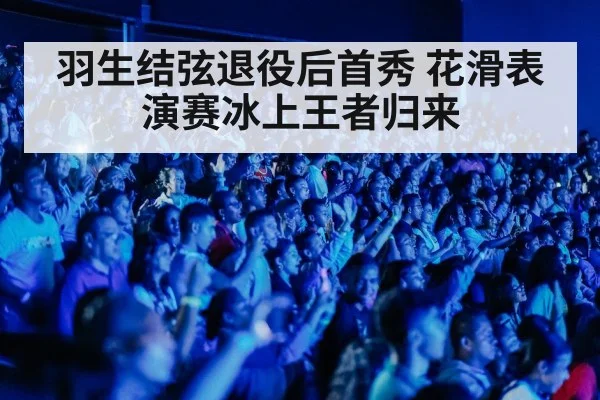 ice show audience