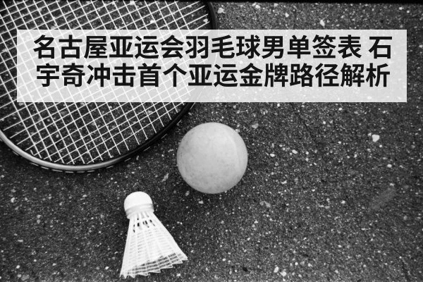 badminton shuttlecock racket court closeup